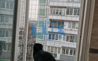 фотография решетки антикошка № 59