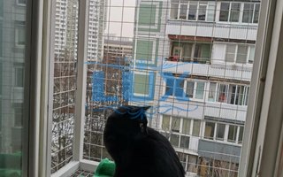 фотография решетки антикошка № 61